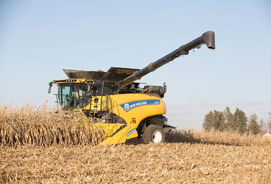 Corn Heads - Media Gallery