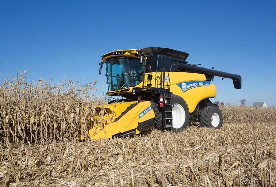 Corn Heads - Media Gallery