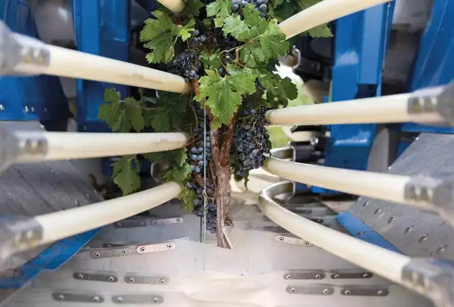 braud-compact-series-grape-harvesters-gallery-07