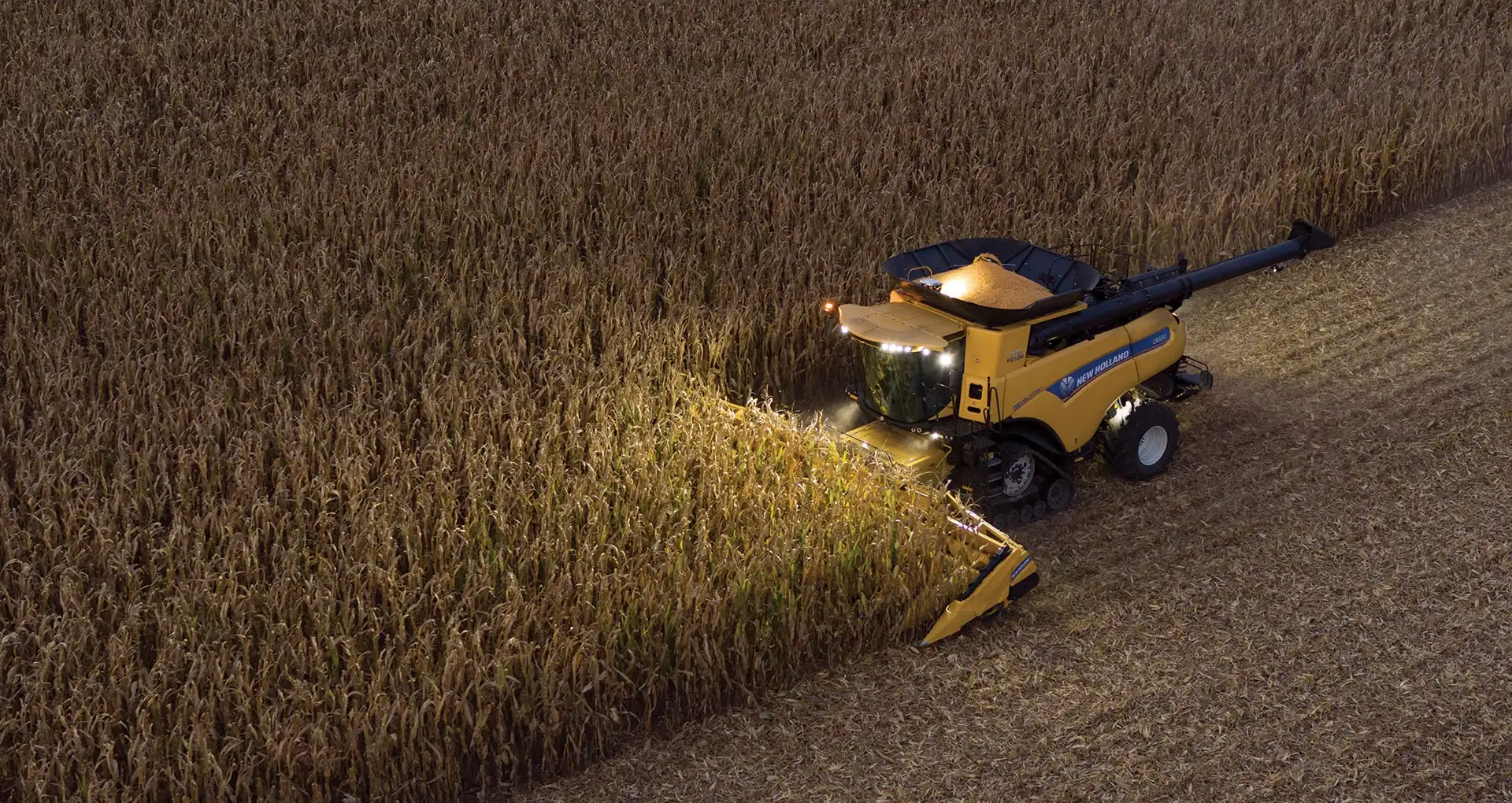 Corn Heads - Media Gallery