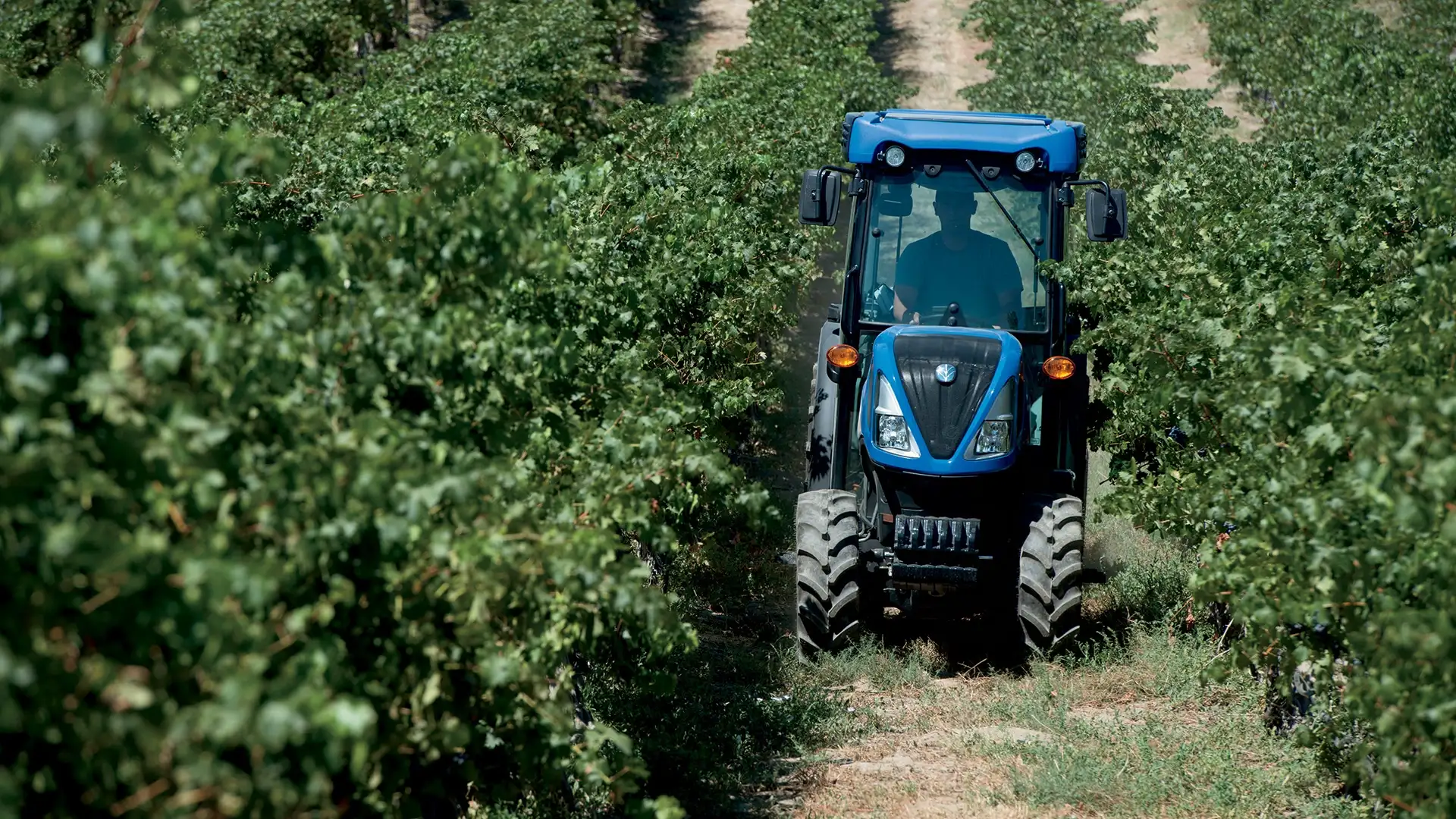 T4V Vineyard Series - Tier 4A