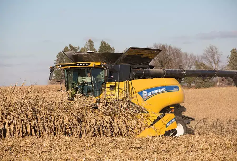 Corn Heads - Media Gallery