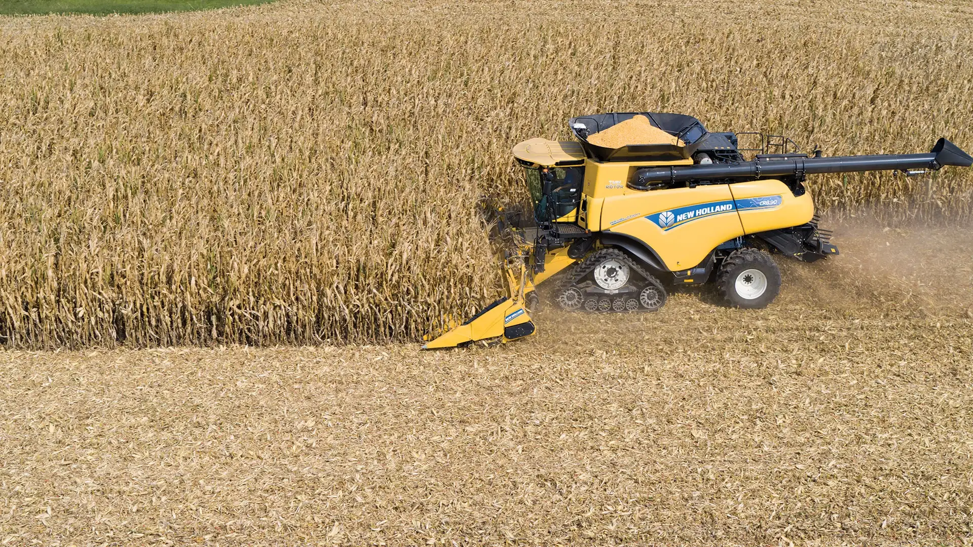 Corn Heads